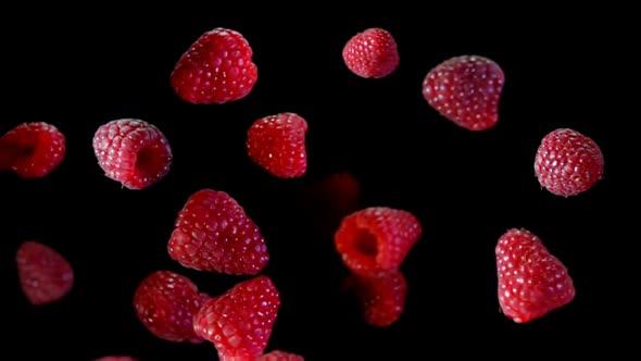 Ripe Delicious Raspberries are Bouncing and Rotating on the Black Background