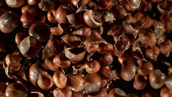 Super Slow Motion Shot of Flying Hazelnuts and Nut Shells Towards Camera on Black at 1000Fps