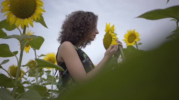 Portrait of Adorable Curly Girl Sniffing Big Sunflower in the Sunflower Field