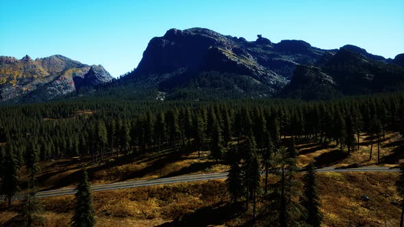 Aerial View of Mountain Road and Forest