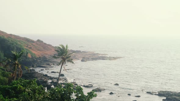 Wide angle of beach and palm trees