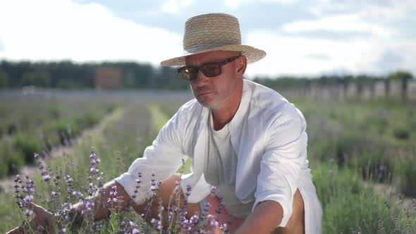 Smiling Satisfied Farmer Admiring Purple Lavender Flowers on Field Sitting on Hunkers Outdoors