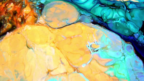 Color Explosion Abstract Art Painting 161 alt