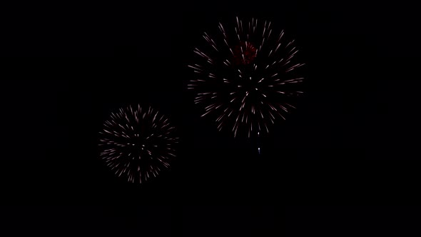 Many flashing colourful fireworks in event amazing with black background celebrate New Year.