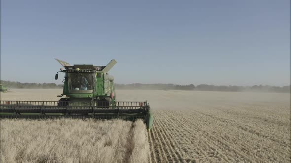 Combine Harvesting Wheat Top View of a Wheatfield