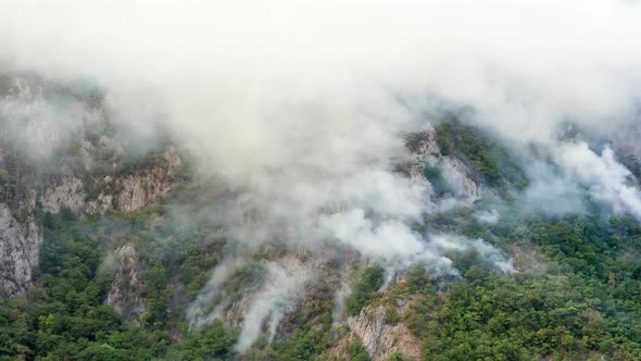 Rainforest burning in a FIRE, white plumes of thick smoke billowing over green hillside - cliff