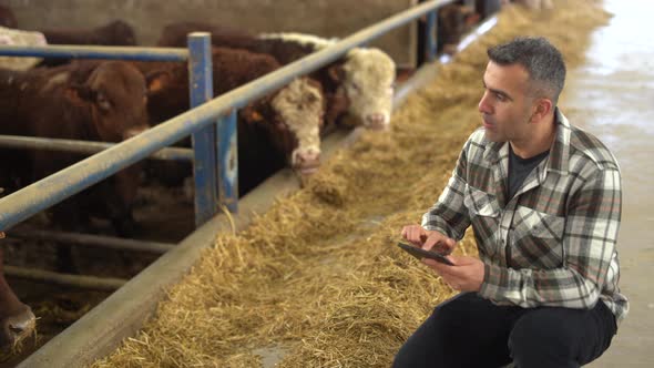 Modern livestock farm and modern farmer.