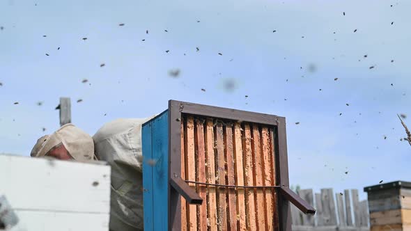 Beekeeper Uses Airblowing Device To Brush Bees Aside