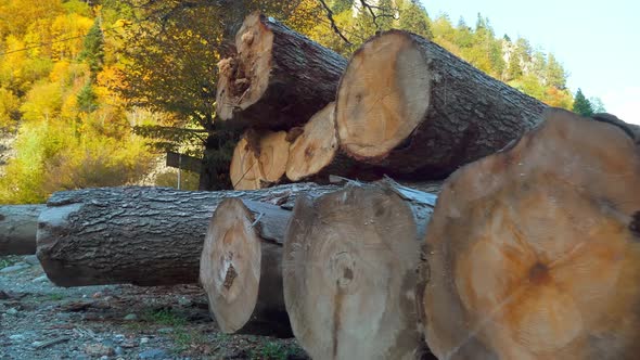 pile of wooden logs in the middle of mountains.