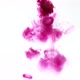 Pink Green Ink Red Drip Water - VideoHive Item for Sale