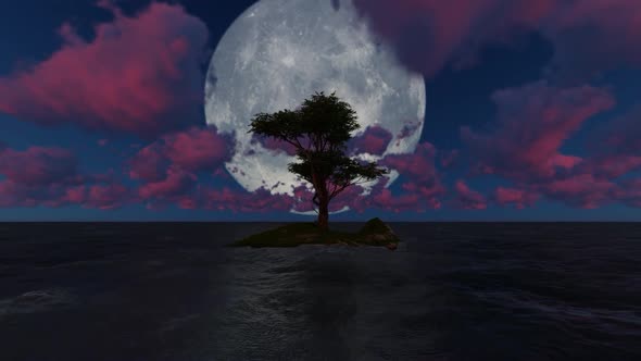 Trees grow in the middle of the sea at night