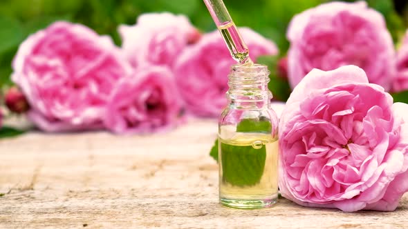 Tea Rose Essential Oil in a Small Bottle