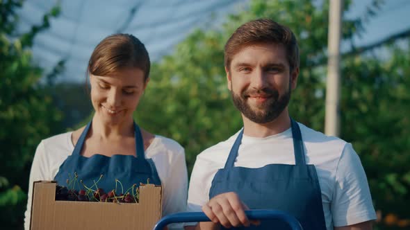 Business Farmers Couple Smiling Present Harvested Cherry Cultivation in Orchard