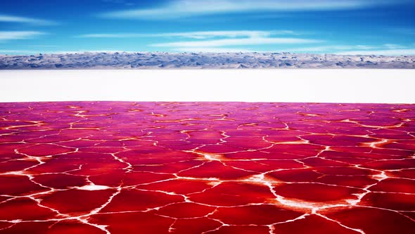 Beautiful View of Pink Lake on Summer Day