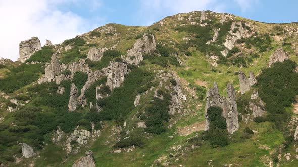 Beautiful Summer Scenery of Carpathian Mountains