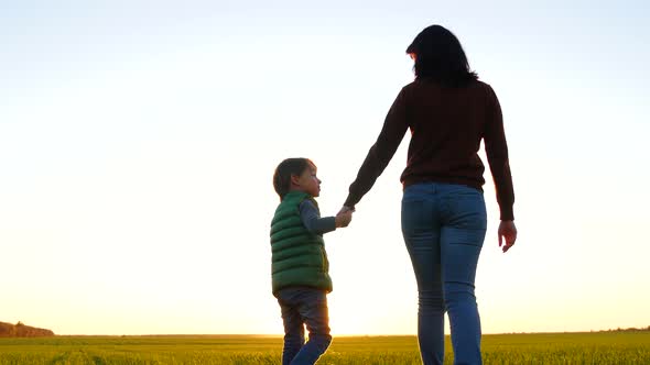 Happy Family: Mother and Son Walk Across a Field Amid a Beautiful Sunset. Mother and Child Go and