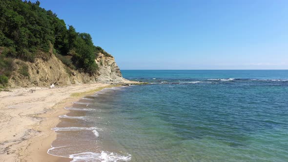 View to Beautiful Beach and Forest