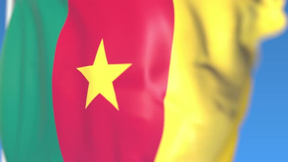 Waving National Flag of Cameroon