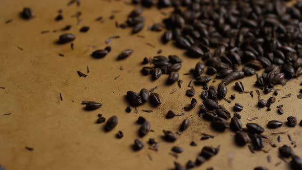 Rotating shot of barley and other beer brewing ingredients - BEER BREWING