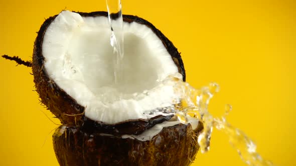 Ripe and juicy coconut on a orange background. Slow motion.