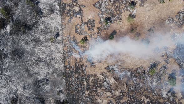 Revealing view of smoke rising from the charred remains of a fire creating artistic patterns on the