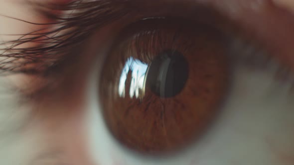 Perfect Brown Eye Macro in a Sterile Environment and Perfect Vision