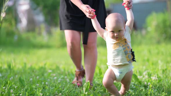 Mom and Baby Walk Hand in Hand on the Green Grass