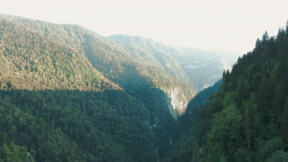 A Stunning Passage in the Gorge of Mountains Between the Mighty Cliffs Overgrown