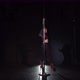 Pole Dance - VideoHive Item for Sale