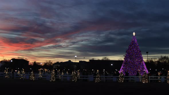 Beautiful National Christmas - Washington, D.C. - Sunset