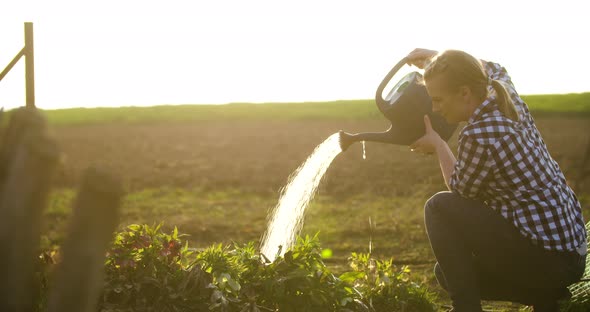 Female Farmer Watering Plants at Farm