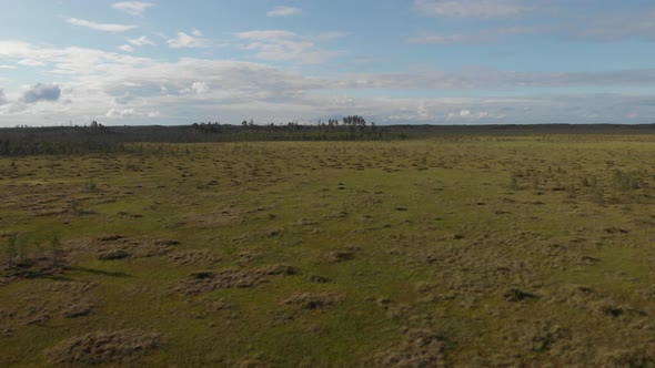 Unearthly Otherworld Landscape Bog Marsh Wet Green Area Fly Over