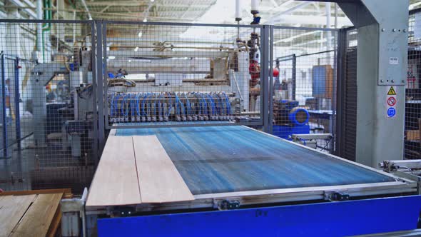Laminate Panels Produced Inside the Modern Plant