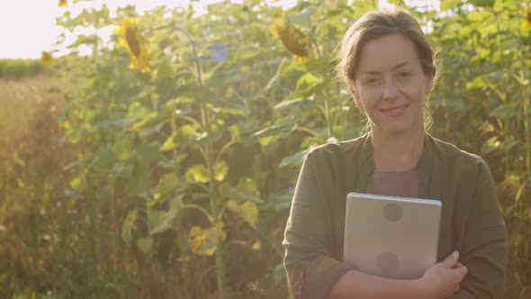 Woman With Tablet In Sunflower Field