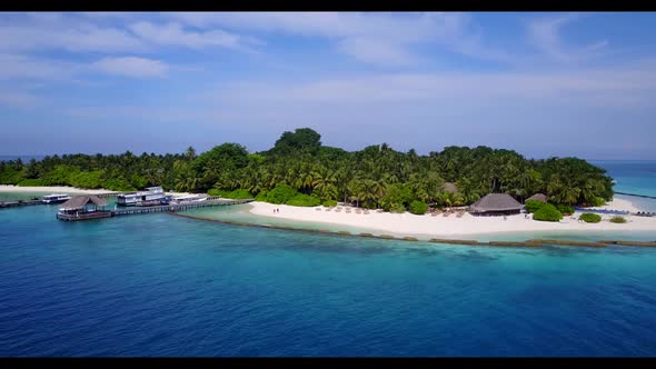 Aerial flying over landscape of relaxing shore beach wildlife by aqua blue water with white sandy ba