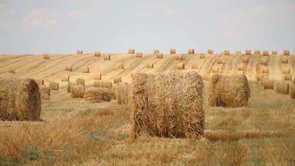 Zoom Out Summer Hay Rolls Straw Field Landscape