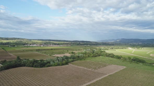 Aerial View of Vineyards in Penedes Catalonia Spain