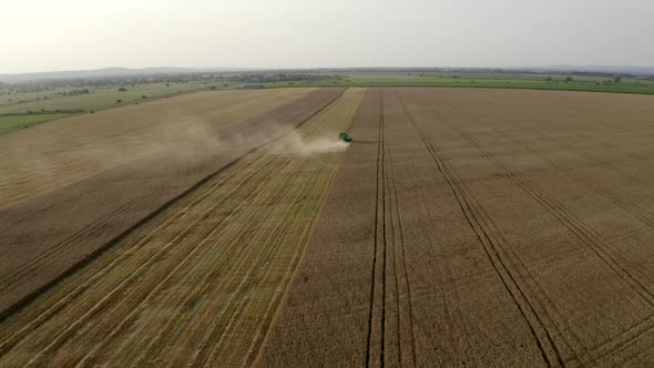 Aerial view. Harvester combine harvesting ripe wheat field, agriculture machine works. Cereal crops