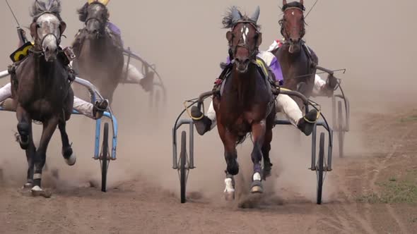 Horse Racing Of The Wagons