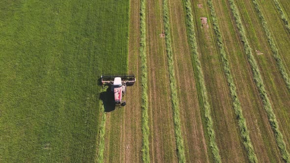 Nice Aerial View of a Combine Harvester in a Field That Mows Green Grass