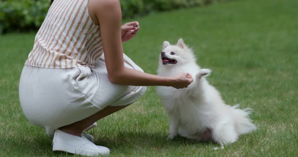 Woman play with her pomeranian dog at park