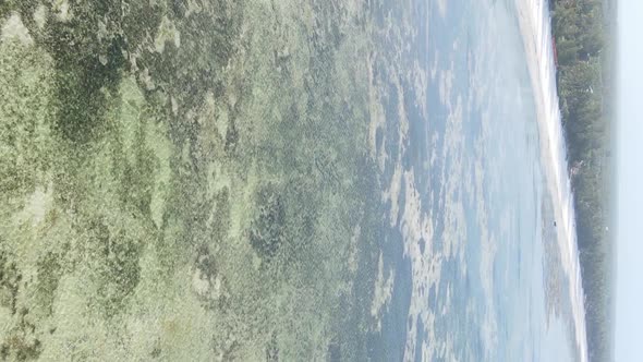 Zanzibar Tanzania  Vertical Video of Low Tide in the Ocean Near the Coast Slow Motion