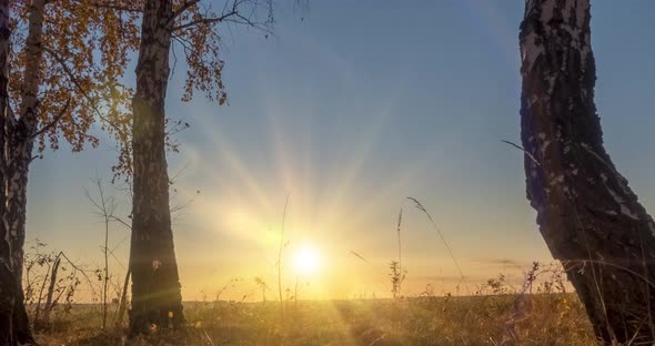 Meadow Timelapse at the Summer or Autumn Time. Rural Field Witch Sun Rays, Trees and Green Grass