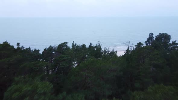 Aerial view of Baltic sea coastline at Bernati beach in Latvia, flying forward over green coastal pi