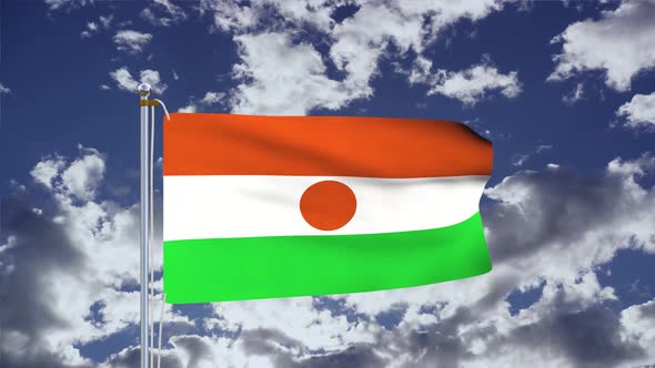 Niger Flag Waving 4k