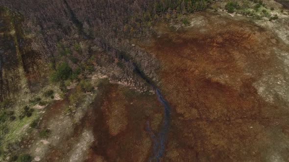 Abstract aerial view of algae bloom in sea on the island of Vormsi in Estonia.