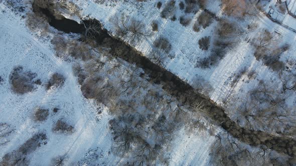 Flight in the winter park. Trees and river are visible. Aerial photography of the park.