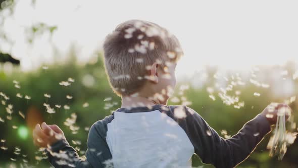 Little Boy Playing with Dandelions in the Park