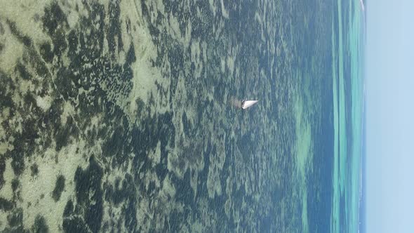 Vertical Video of the Ocean Near the Coast of Zanzibar Tanzania Aerial View