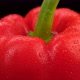 Sweet red bell pepper isolated on black background - VideoHive Item for Sale